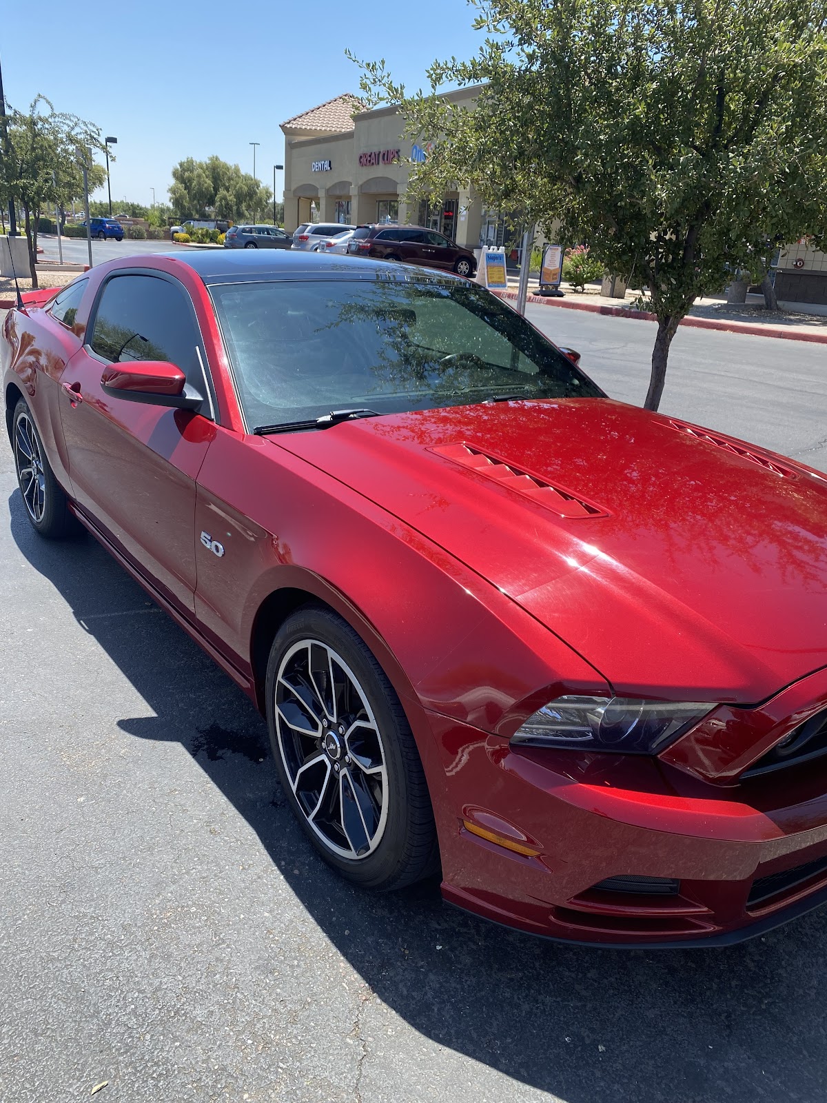 Ford Mustang GT 5.0 detailed by Master Mobile Detailing